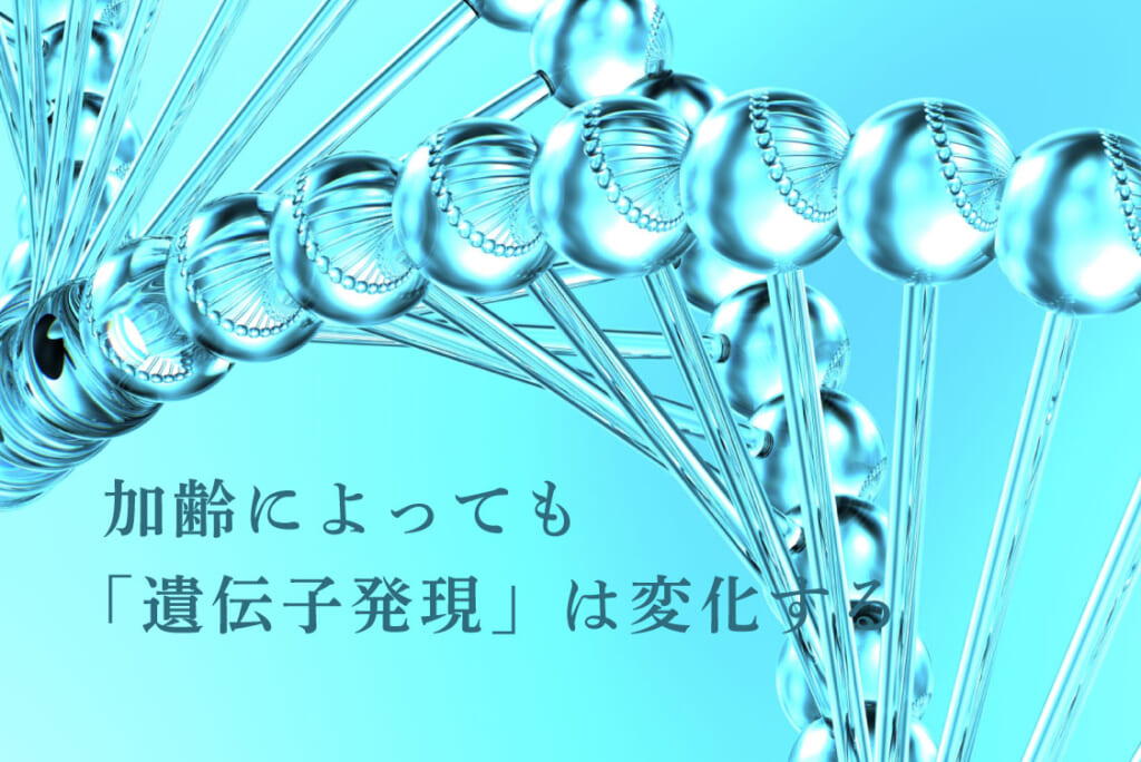 加齢によっても「遺伝子発現」は変化する